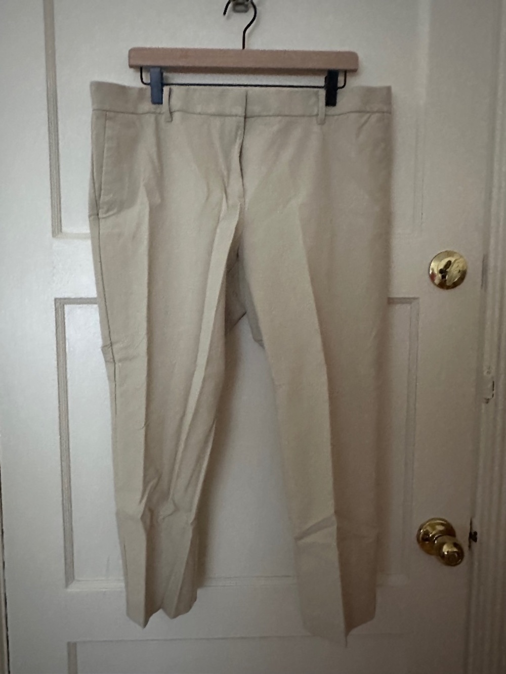 Ann Taylor 14 Petite Beige Ankle Pant (14P)